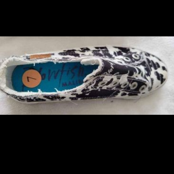 Blowfish flats - Picture 2 of 2